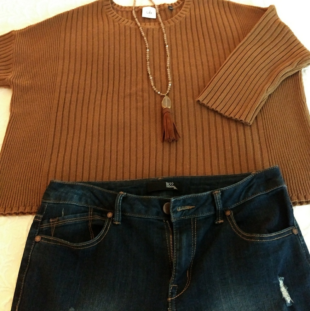 CAbi Luna pullover, size Medium, Fall 2017